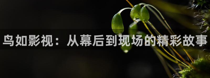 蜜桃成熟时电影大全：鸟如影视：从幕后到现场的精彩故事