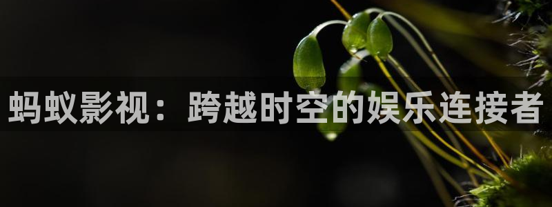 小蜜桃k8经典片：蚂蚁影视：跨越时空的娱乐连接者