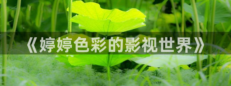 99影院蜜桃：《婷婷色彩的影视世界》