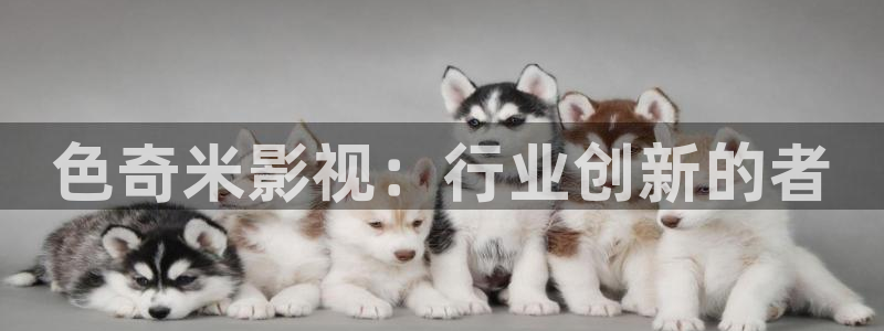美丽的小蜜桃电影第二季：色奇米影视：行业创新的者