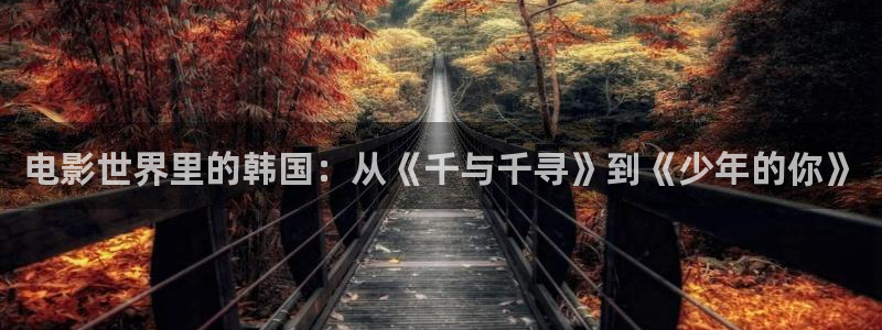 深夜做爰性大片蜜桃：电影世界里的韩国：从《千与千寻》到《少年的你》