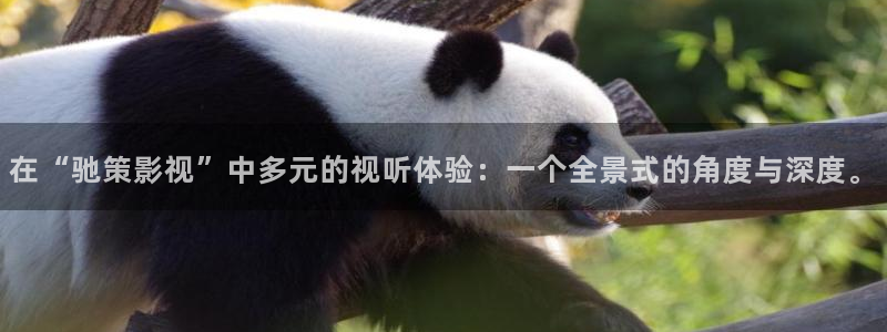 蜜桃成熟时理论电影：在“驰策影视”中多元的视听体验：一个全景式的角度与深度。