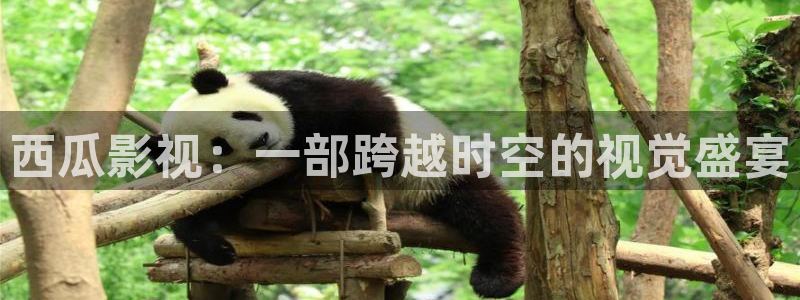 久播影院蜜桃视频：西瓜影视：一部跨越时空的视觉盛宴