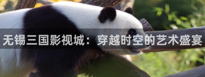 蜜桃传媒电影网：无锡三国影视城：穿越时空的艺术盛宴